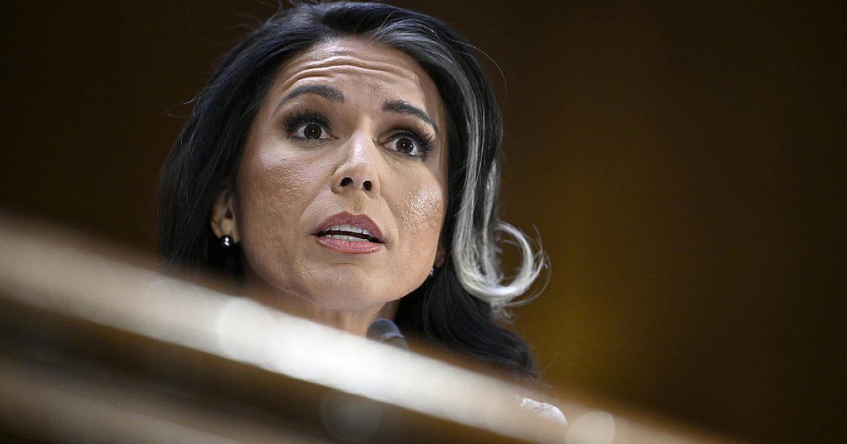 Өмнөх реп. Tulsi Gabbard нь тестигийн баталгаажуулалттай тулгарч байна