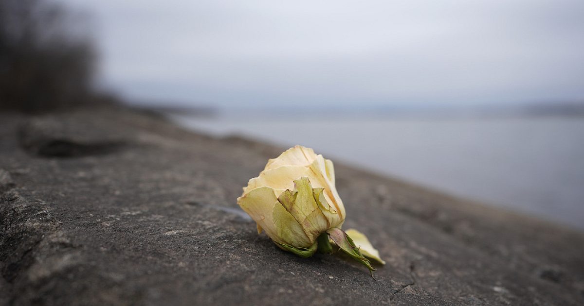 Potomac мөргөлдөхөд ихэнх хохирогчийн биеийг сэргээж,