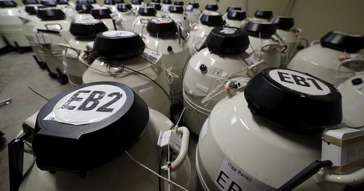 Трамп тушаалд IVF хандалт, боломжийн байдлыг өргөжүүлэв