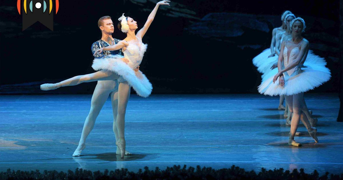 Шоу үргэлжлэх ёстой