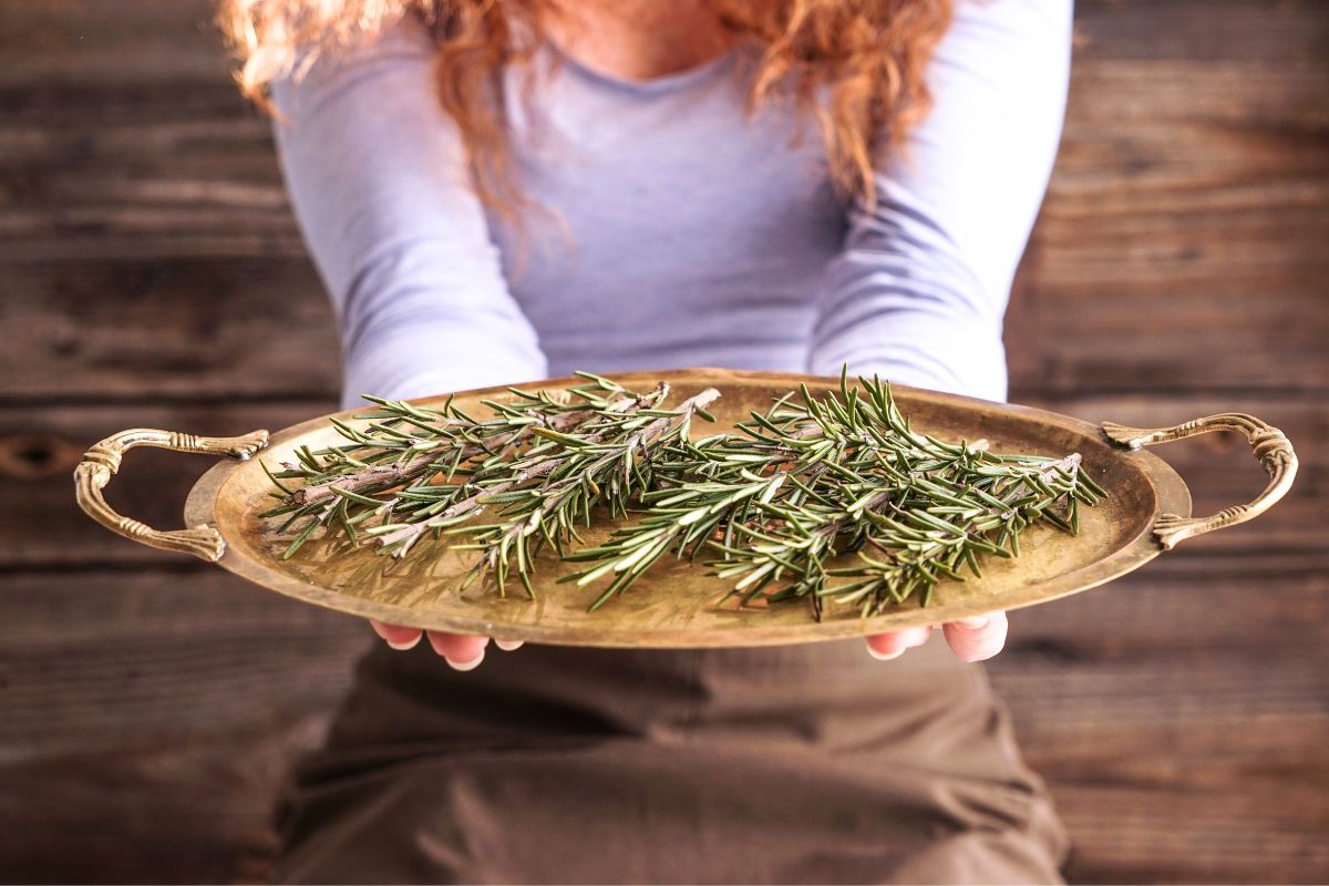 Шкафтаа үргэлж