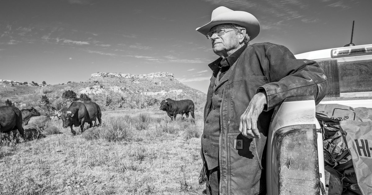 Муж дээр бичих