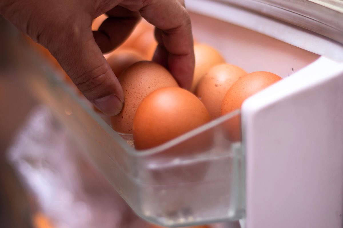 Өндөгний буруу дадал