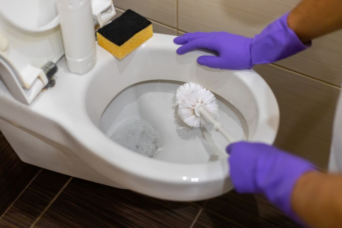 Хоолой угаагч