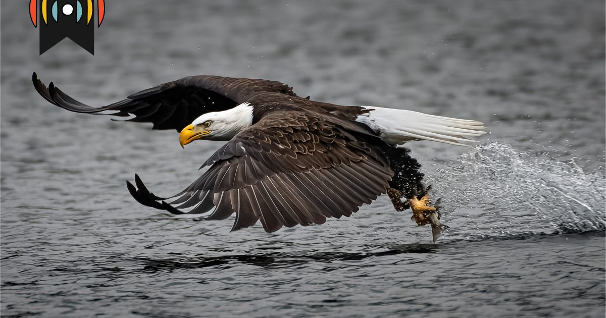 Үг тоглох: Бурхны гайхалтай бэлэглэгч