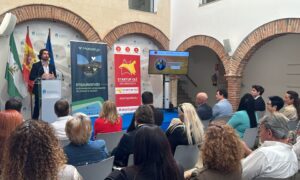 Startup Olé Мар Marbella-д зургадугаар сарын 17-18-нд буцаж ирнэ