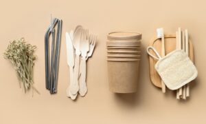 Дөрвөн сарын дараа Сав баглаа боодлын журам (PPWR) хүчин төгөлдөр болно