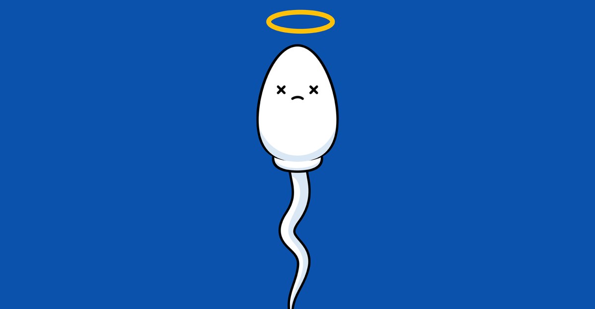 Looksmaxxing is killing men’s sperm