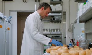 ПатаФЕСТ төсөл хиймэл оюун ухааныг ашиглан тариалангийн сорилтуудтай тулгарна
