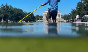 Трампын Reflecting Pool шинэчлэл: Баривчилгаа ба ‘вандализм’ гэж үзэгдэж буй асуудал