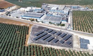 Agrosevilla 2025 онд 196 сая евро борлуулалтыг батжуулна