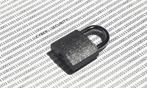 Испанийн жижиг дунд бизнесүүдийн 86% нь сүүлийн жилд ямар нэг кибер осолд өртсөн